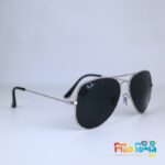 Classic Aviator Polarized Sunglass (RB 3025)