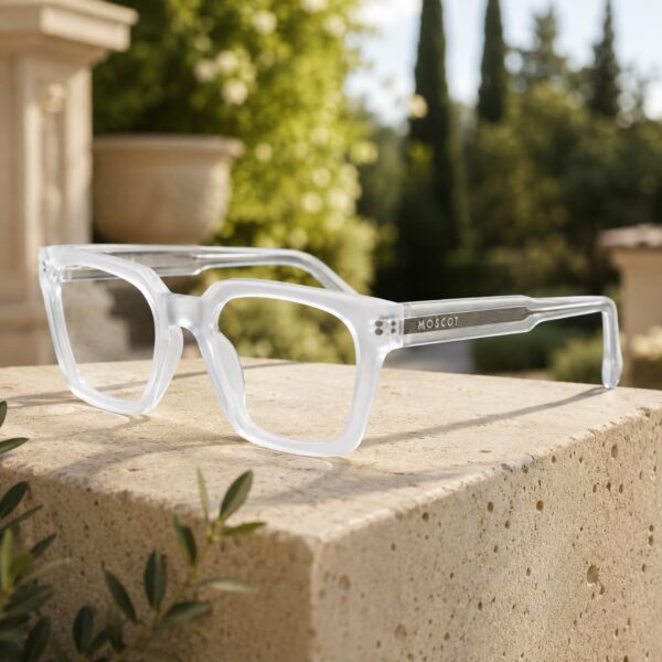 Minimalist Transparent Specs