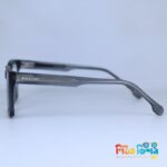 Minimalist Ash Specs frame