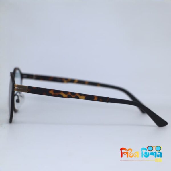 Tortoise Noir 5867 frame