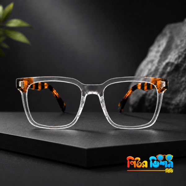 Denson 2109 (transparent+tortorise) Frame