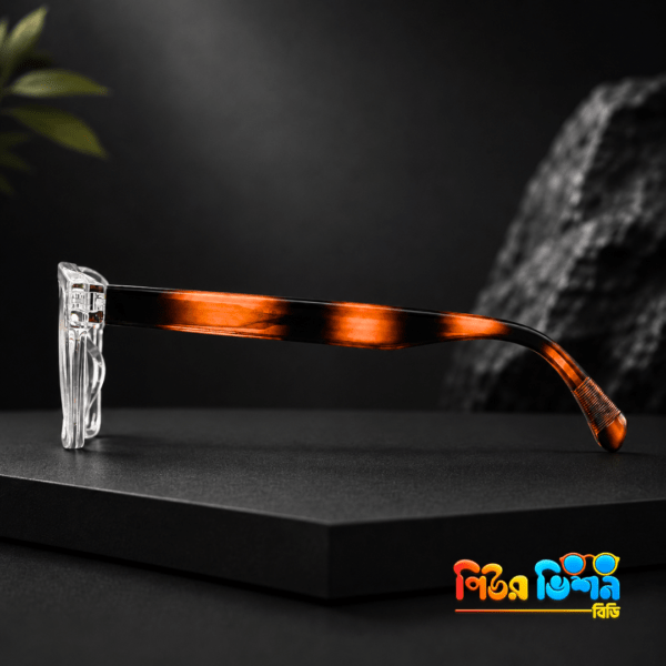 Denson 2109 (transparent+tortorise) Frame
