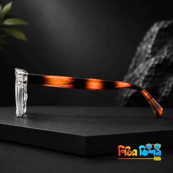 Denson 2109 (transparent+tortorise) Frame