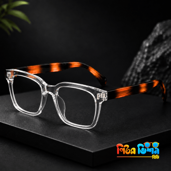 Denson 2109 (transparent+tortorise) Frame