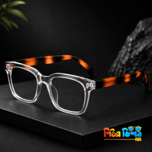Denson 2109 (transparent+tortorise) Frame