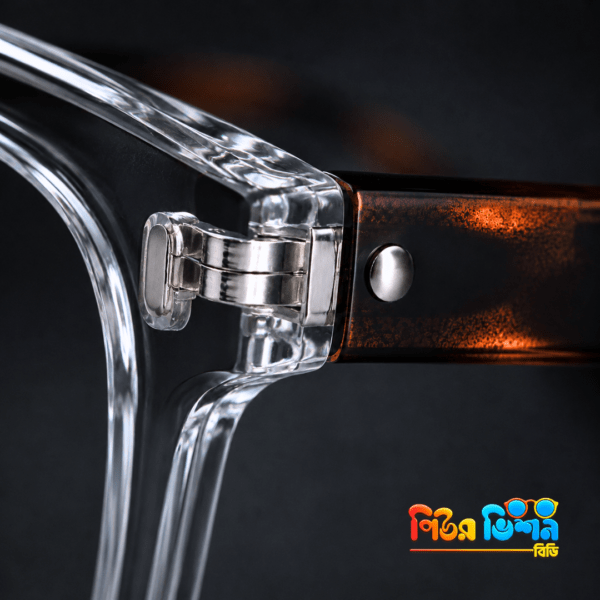 Denson 2109 (transparent+tortorise) Frame